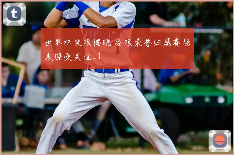 世界杯奖项揭晓 各项荣誉归属赛场表现受关注_1