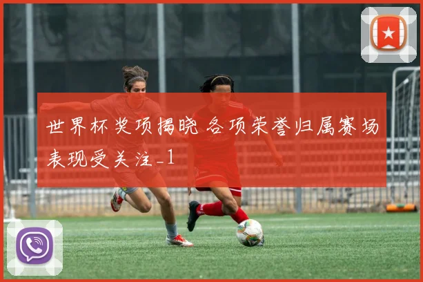 世界杯奖项揭晓 各项荣誉归属赛场表现受关注_1