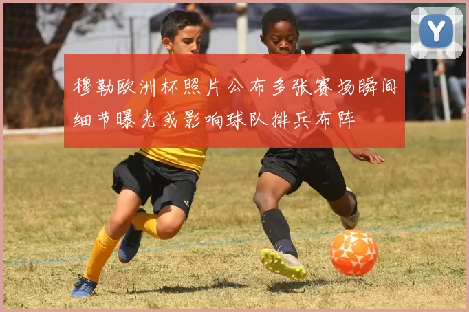 穆勒欧洲杯照片公布多张赛场瞬间细节曝光或影响球队排兵布阵
